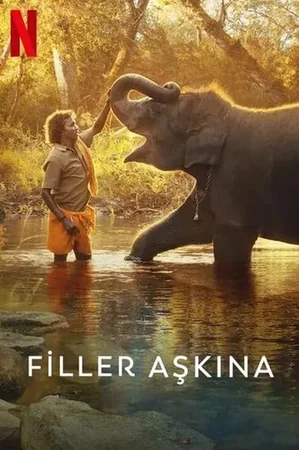 Filler Aşkına 2022 Full HD Türkçe Dublaj Film İzle